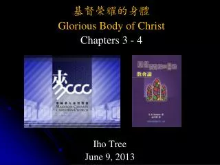 iho tree june 9 2013
