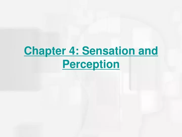 chapter 4 sensation and perception