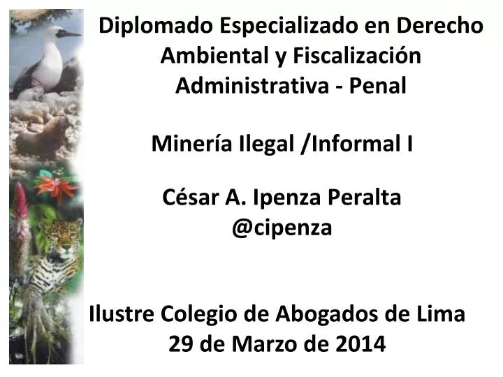 diplomado especializado en derecho ambiental y fiscalizaci n administrativa penal
