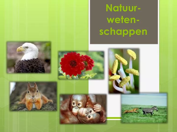 natuur weten schappen