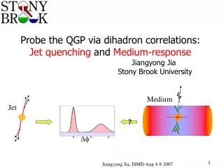 Probe the QGP via dihadron correlations: Jet quenching and Medium-response