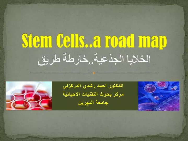 stem cells a road map