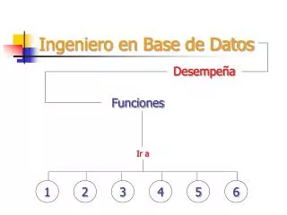 ingeniero en base de datos