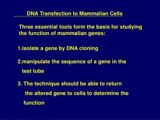 DNA Transfection to Mammalian Cells