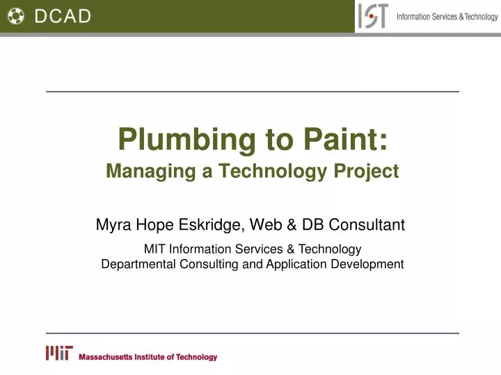 plumbing to paint managing a technology project