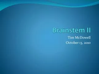 Brainstem II