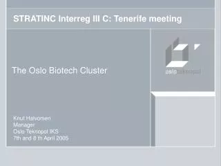 STRATINC Interreg III C: Tenerife meeting