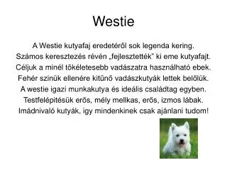 Westie