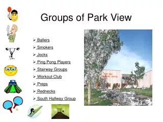 Groups of Park View
