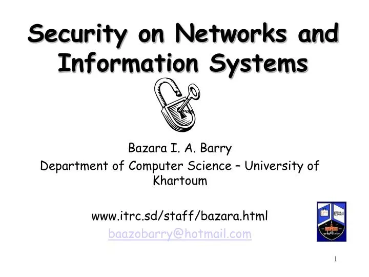 security on networks and information systems