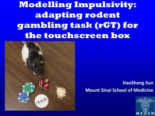 Modelling Impulsivity: adapting rodent gambling task (rGT) for the touchscreen box