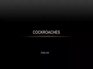 COCKROACHES