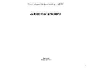 Auditory input processing