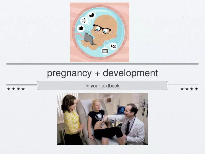 pregnancy development