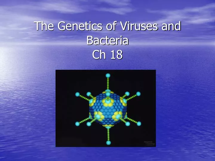 the genetics of viruses and bacteria ch 18