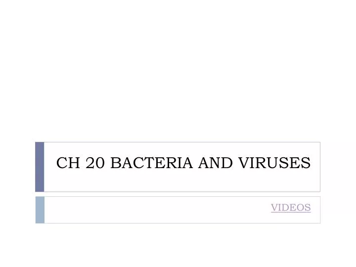 ch 20 bacteria and viruses