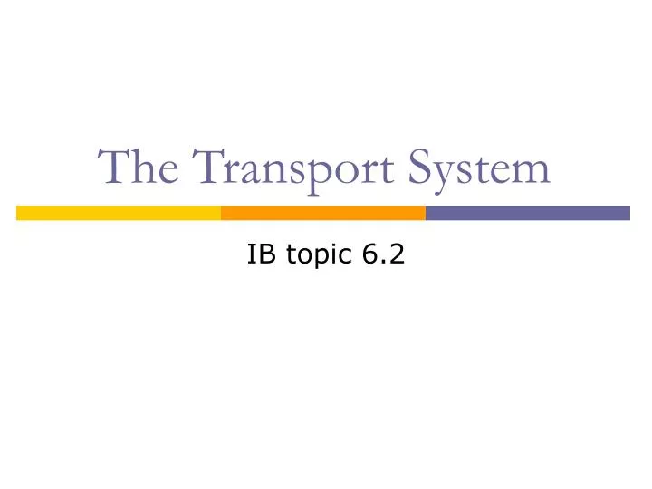the transport system