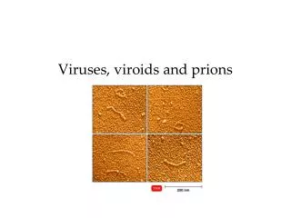 Viruses, viroids and prions