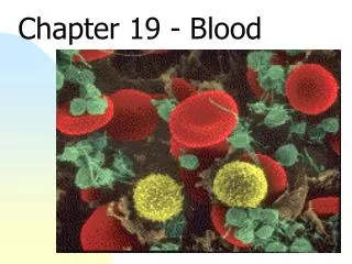 Chapter 19 - Blood