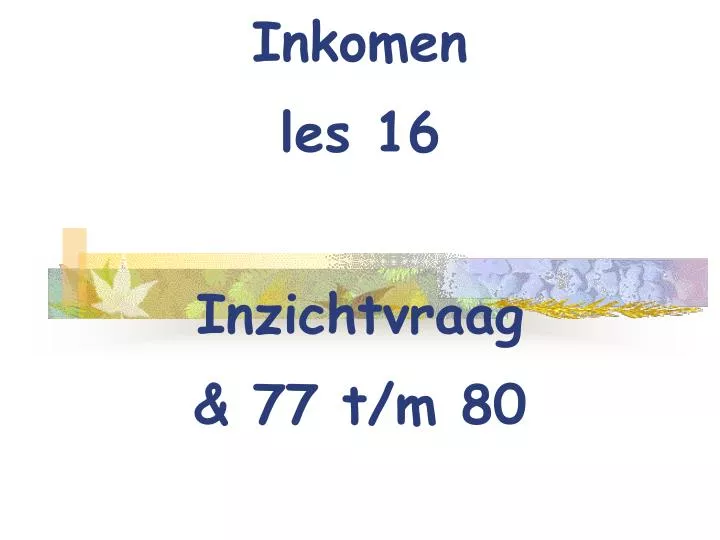 inkomen les 16 inzichtvraag 77 t m 80