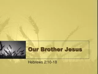 Our Brother Jesus