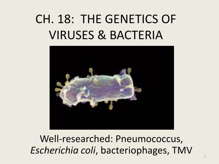 ch 18 the genetics of viruses bacteria