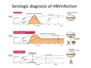 Serologic diagnosis of HBVinfection