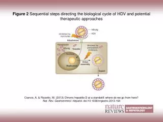 Ciancio, A. &amp; Rizzetto, M. (2013) Chronic hepatitis D at a standstill: where do we go from here?