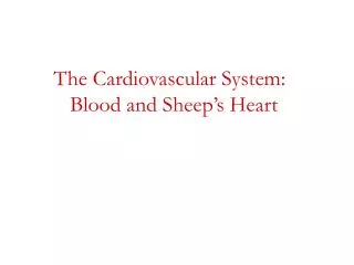 the cardiovascular system blood and sheep s heart