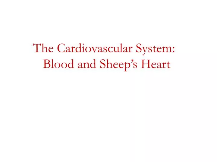 the cardiovascular system blood and sheep s heart