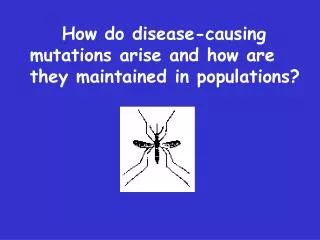 How do disease-causing mutations arise and how are they maintained in populations?