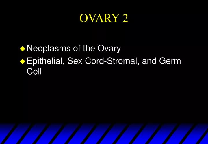 ovary 2