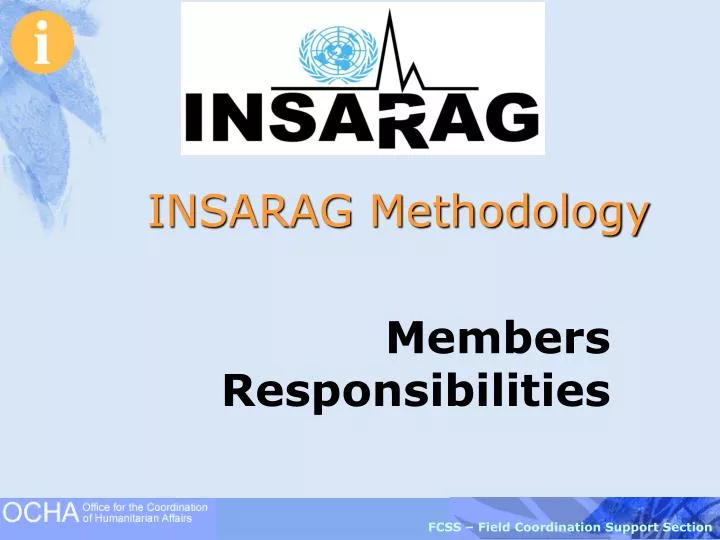 insarag methodology
