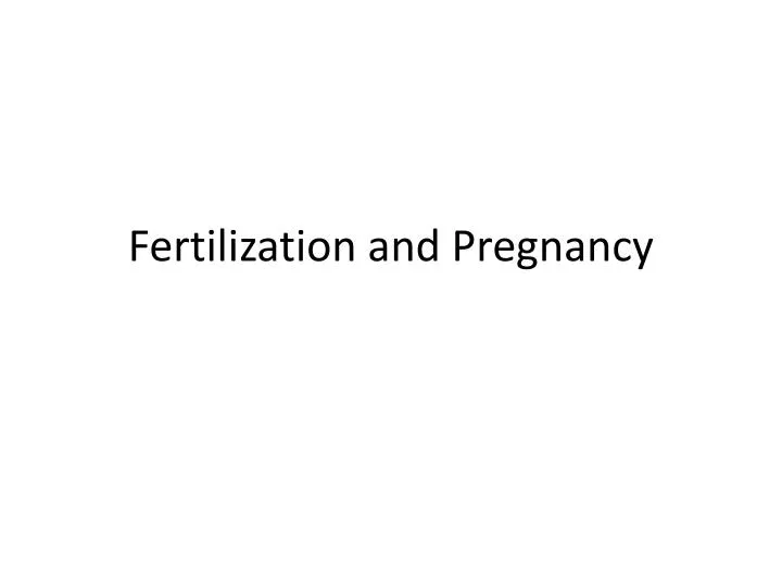 fertilization and pregnancy