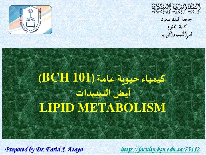 bch 101 lipid metabolism