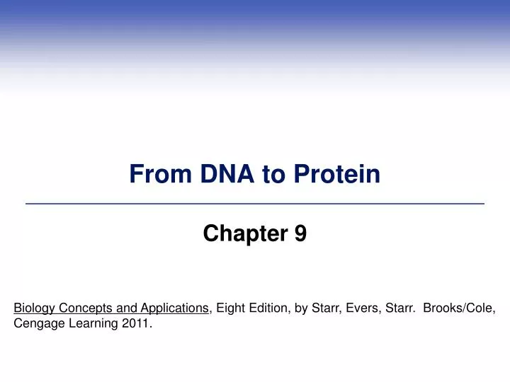 from dna to protein