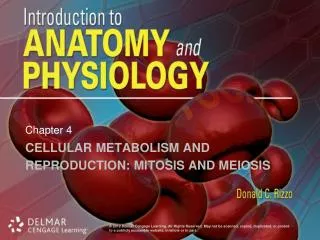 Cellular Metabolism and Reproduction: Mitosis and Meiosis