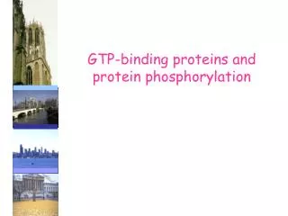 GTP-binding proteins and protein phosphorylation
