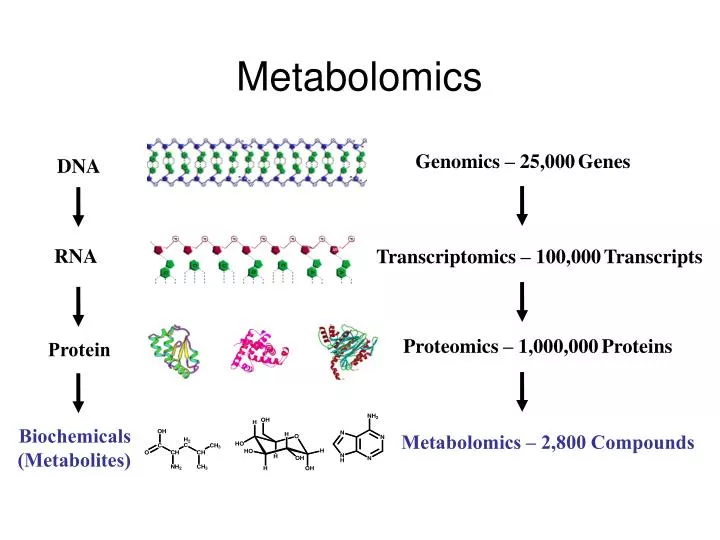 metabolomics