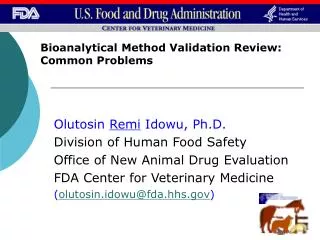 Bioanalytical Method Validation Review: Common Problems