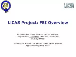 LiCAS Project: FSI Overview