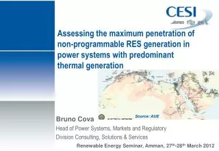 Bruno Cova Head of Power Systems, Markets and Regulatory