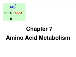 Chapter 7 Amino Acid Metabolism