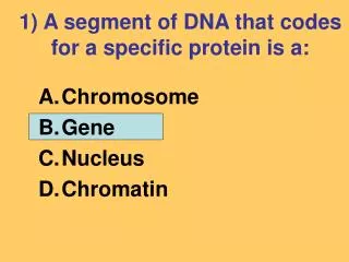 1) A segment of DNA that codes for a specific protein is a: