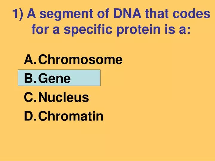1 a segment of dna that codes for a specific protein is a