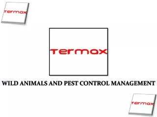 Brampton Pest Management