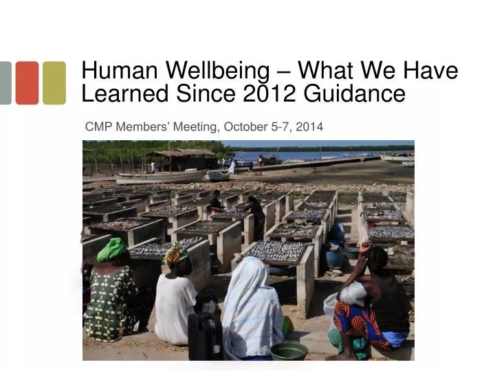 human wellbeing what we have learned since 2012 guidance