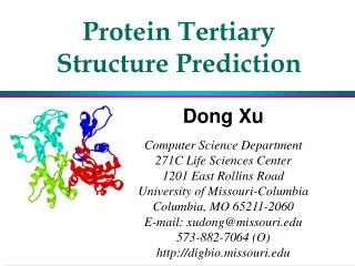 Protein Tertiary Structure Prediction