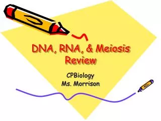 DNA, RNA, &amp; Meiosis Review