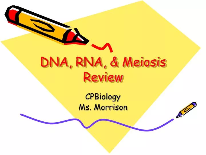 dna rna meiosis review